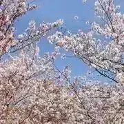 adの画像