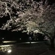 koko.mmの画像