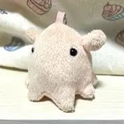 めんだこ