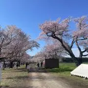 残11時間）25-26シーズン テイネ専用 リフトチケット - メルカリ