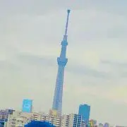 youの画像