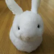 SKの画像