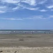 suzu　※プロフィールご覧くださいの画像