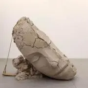 デリアンの画像