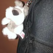 ハル