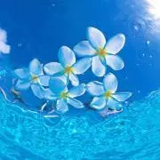 ☆ミ☆の画像