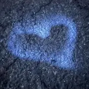 きゃんの画像