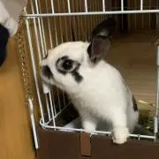 ●まる●