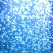skyblueの画像