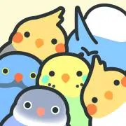 フェイフェイの画像