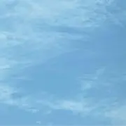 きーの画像