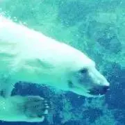 ミリィ☆の画像