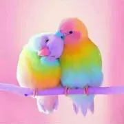 はとこちゃんの画像