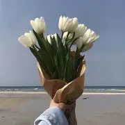 ハイジの画像
