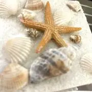 sの画像