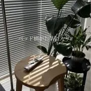 カロの画像