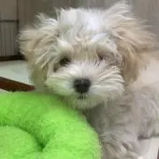 yuuuuuu