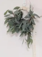 Nachimomoの画像