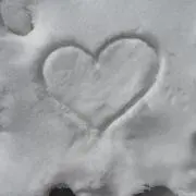 なきの画像