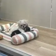 aa✴︎の画像