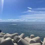 ラビオリの画像