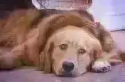 まっくブー【プロフ参照m(_ _)m】の画像
