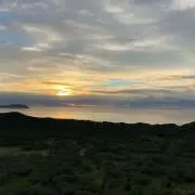 BUNの画像