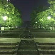 K Suzuki