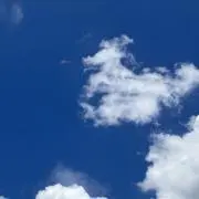 ynの画像