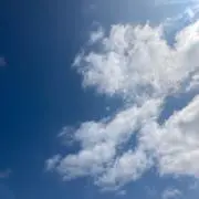 ささみの画像