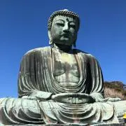 モーリスの画像