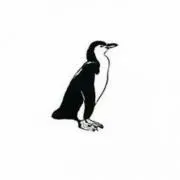 ペンギンの画像