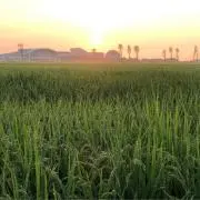 エターナルクリーンの画像