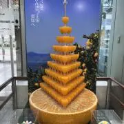 日陰ぼっこの画像