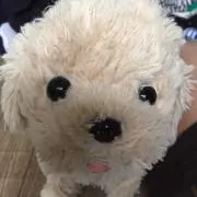 みぃママ