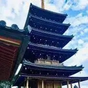 aoimmの画像