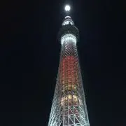 Kayoの画像