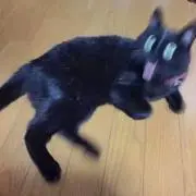 Ian