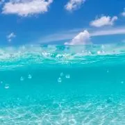 いおんの画像