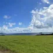y  まとめ買い可能の画像