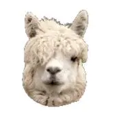 ^._.^の画像
