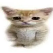 おぺはん