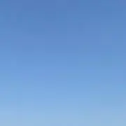 フクの画像
