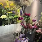 ykの画像