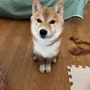 ⭐︎必ずプロフ見てください⭐︎