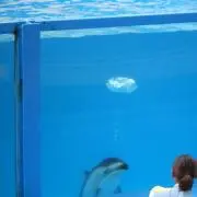 ビーさん