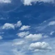 ミの画像