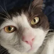 ヒロたん