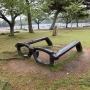 バリヤースの画像