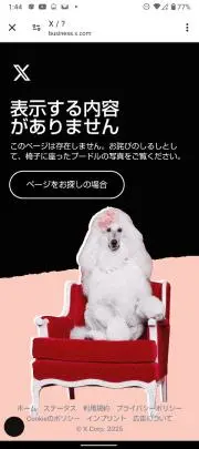 最終値下げ】新品 YouTuber ヒカル オリジナル シャンパン 2本セット